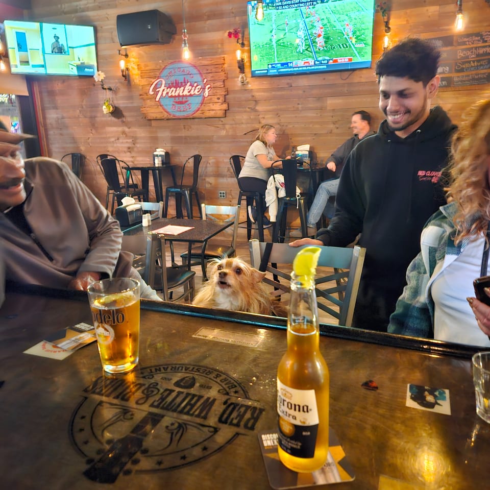 Lively Frankie’s bar interior with patrons, televisions, drinks on tables, and a small dog seated among diners.